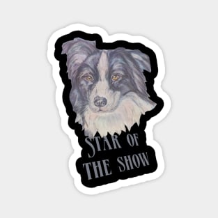 Star of the Show, Border Collie Magnet