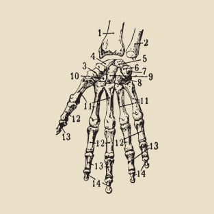 anatomy of the hand T-Shirt