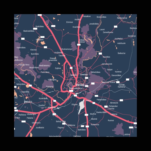 Vilnius colour map by Mapmania