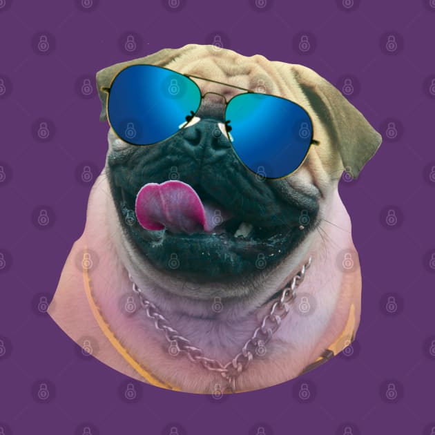 dog wearing sunglasses by NekroSketcher