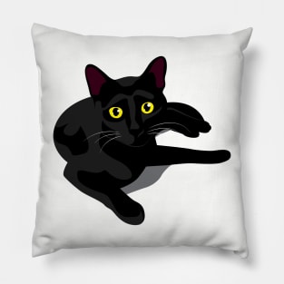 My Black Cat Pillow