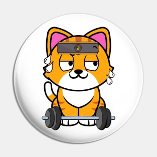 Cute orange cat is exercising Pin