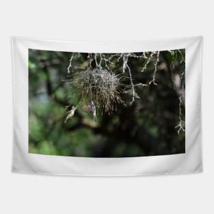 Spring is in the Air - Northern Beardless Tyrannulets Tapestry