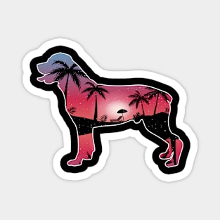 Rottweiler Beautiful Sunset Beach Palm Tree Magnet