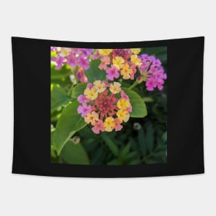 multicolored tiny flower cluster photographic image Tapestry