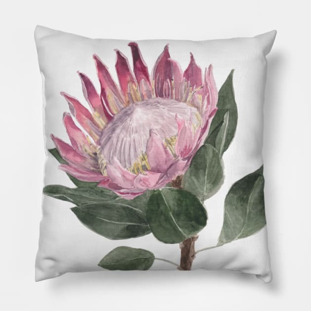 Pink Protea Flower Watercolour Painting Pillow by Flowering Words