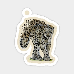 Walking leopard Magnet