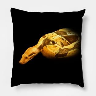 Boa constrictor Pillow