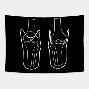 Transtibial X-Ray Tapestry