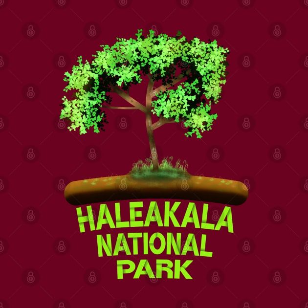 Haleakala National Park by MoMido
