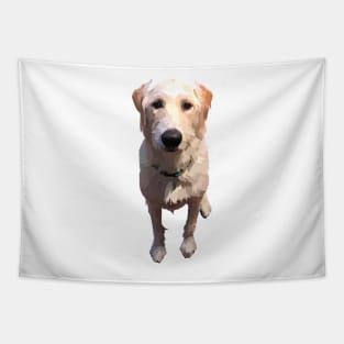 Cute White Yellow Lab Tapestry