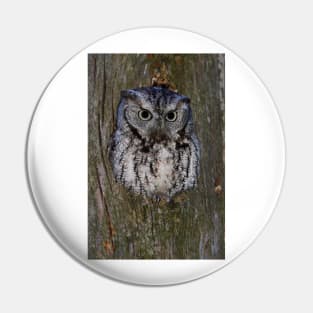 Eastern Screech Owl eye opener Pin