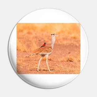 lazy bird riding ostrich Pin