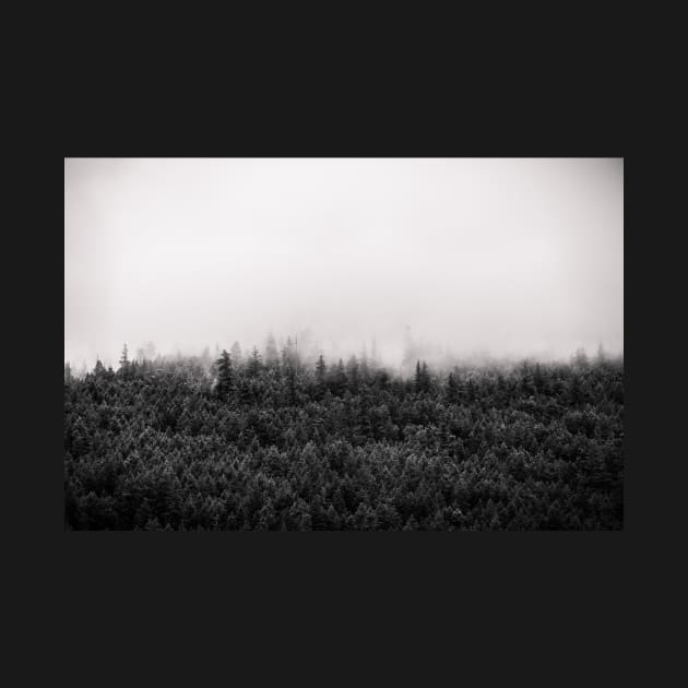 Foggy Mountain Forest Black and White by Amy-K-Mitchell