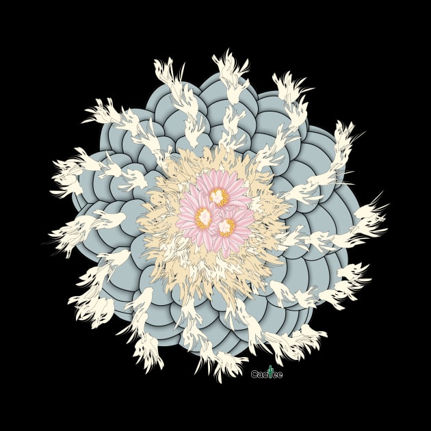 Lophophora Williamsii With Flowers by Cactee