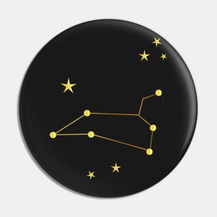 Leo sign Pin