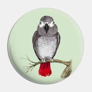 African grey parrot watercolor Pin