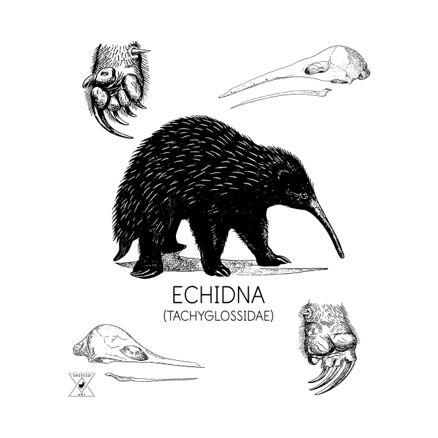 Echidna Study Shirt | Natural History Animal Illustration | Australian Mammal Taxonomy and Species Education by encyclo
