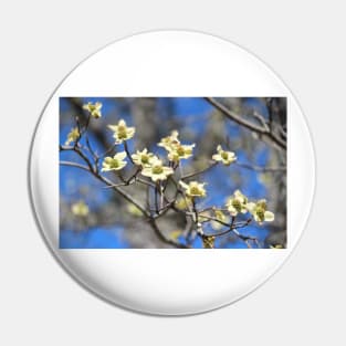 Dogwood In Bloom Pin