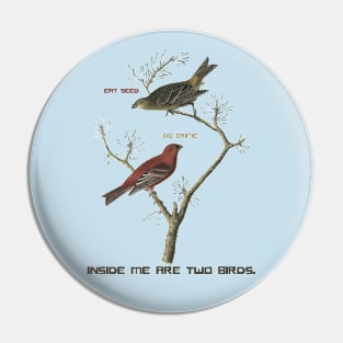 Inside me there are two birds Pin