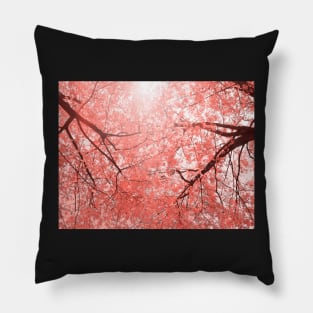 Cherry tree blossoms in Living Coral Pantone color 2019 Pillow