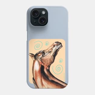 Bay Arabian Stallion. Phone Case