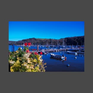 Kingswear Harbour T-Shirt