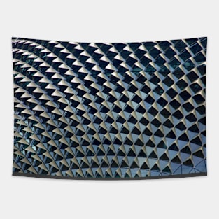 Spiked covering Tapestry