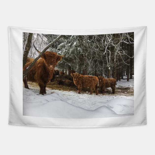 Scottish Highland Cattle Cows and Calves 1871 Tapestry by SaarelaHighland