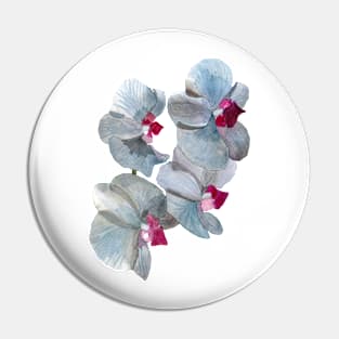 orchid flowers Pin