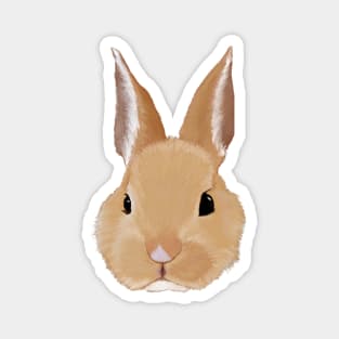 Bunny Rabbit Magnet
