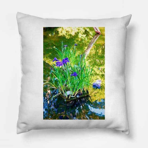 SF Japanese Tea Garden Study 18 Pillow by bobmeyers