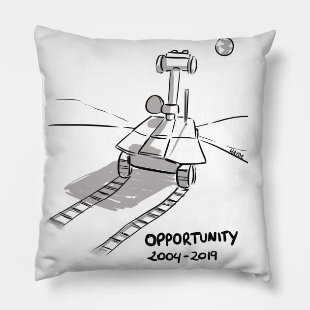 Opportunity Pillow by Hayde