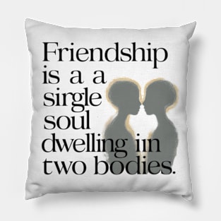 Friendship is a single soul dwelling in two bodies. Pillow