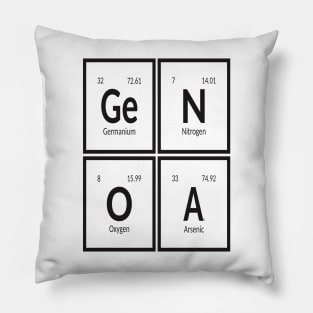 Element of Genoa City Pillow