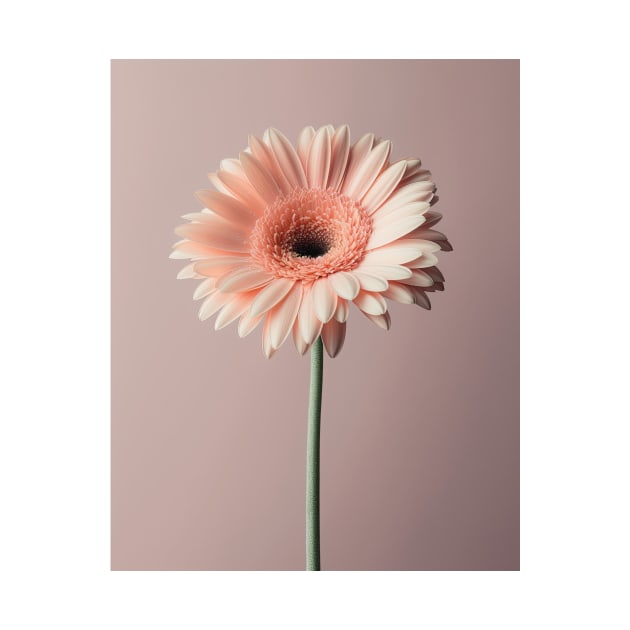 White Gerbera Daisy Artwork by 026PrintableArt