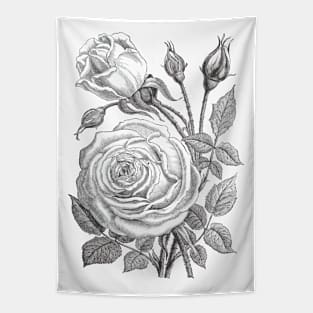 Rose Flowers Vintage Illustration Tapestry