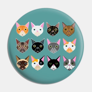 Cats! Pin