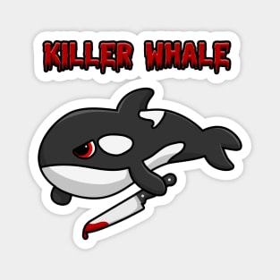 Killer Whale Magnet