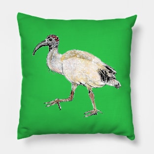 Sacred Ibis Pillow