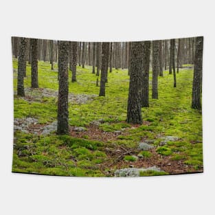 Mossy Forest Tapestry