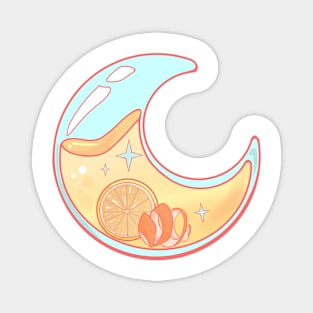 Citrus Summer Magnet