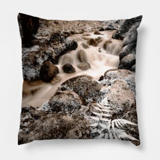 Parque Terra Nostra Pillow