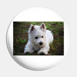 Westie Pin