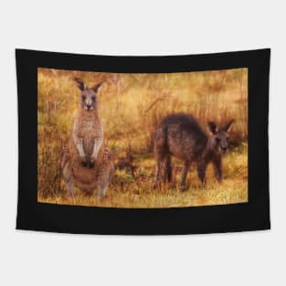 Kangaroos Tapestry