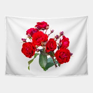 Red red roses Tapestry