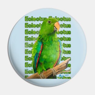 Eclectus Pin