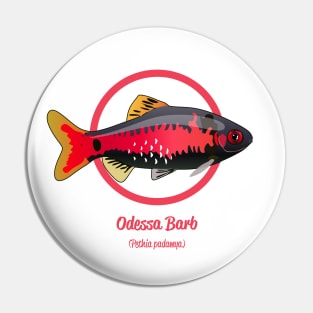 Odessa Barb Pin