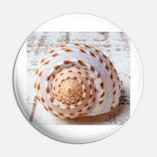 Natures Shell Design Pin