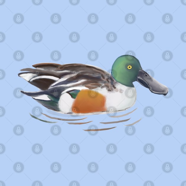 Northern Shoveler Duck Digital Illustration by MariaWorkman